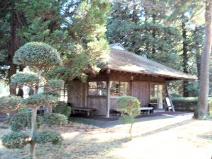 20091123