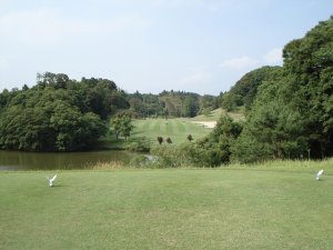20080618