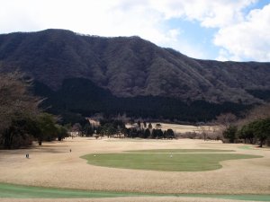 20090326