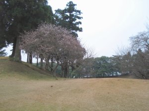 20091209