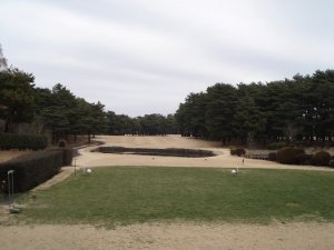 20090215