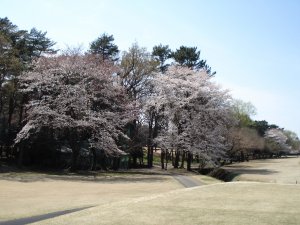 20090403