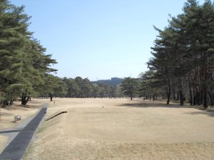 20090409