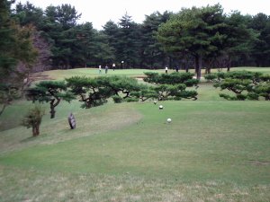 20091025