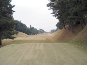 20091209