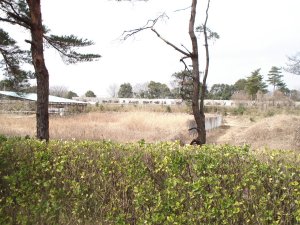 20090215