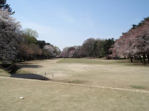 20090403