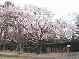 20090405