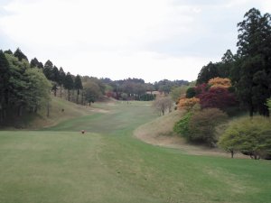 20090420