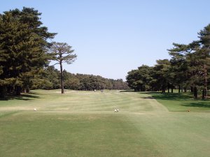 20090428