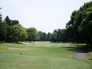 20090526