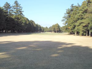 20091123