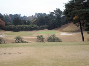 20091209