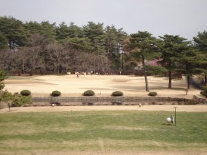 20090215