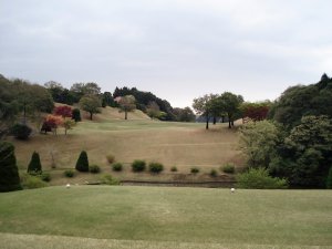 20090420