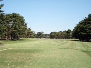 20090428