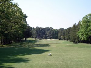 20090429