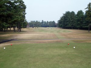20091110