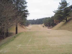 20091209