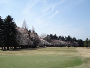 20090403