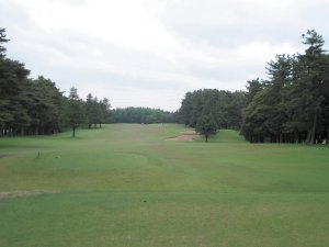 20090506