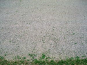 20090512