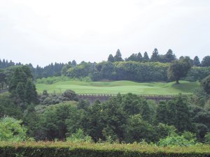 20090612