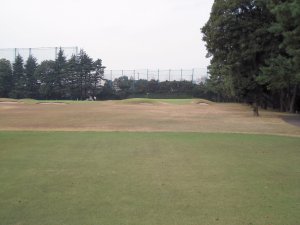 20091110