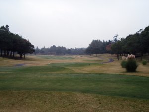 20091101