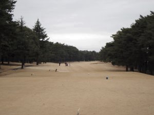 20090308