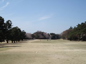 20090403