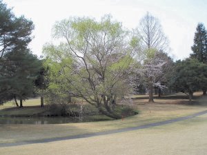 20090405