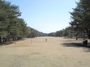 20090409