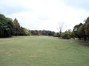 20090414