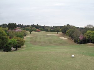 20090420