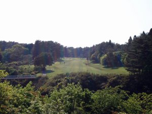 20090429