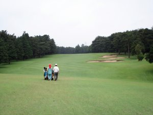 20090531