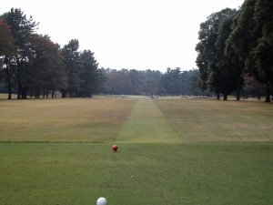 20091110