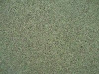 20090112