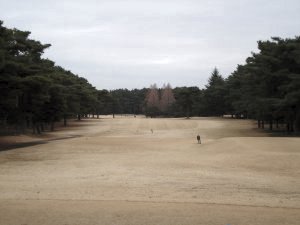 20090308