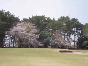 20090405