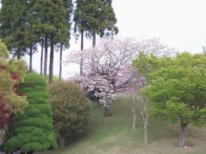 20090420