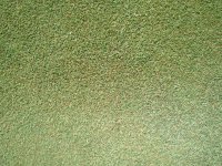 20080530