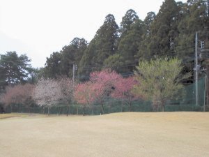 20090405