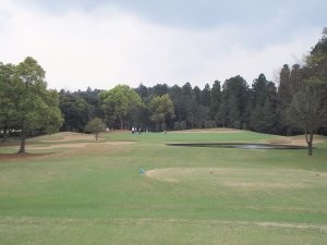 20090414