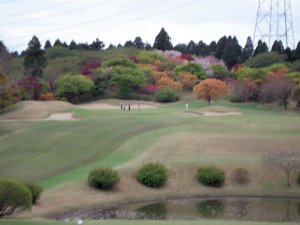20090420