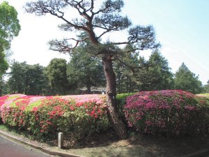 20090422