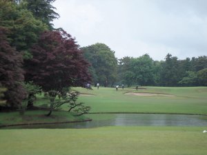 20090506