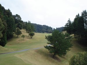 20091014