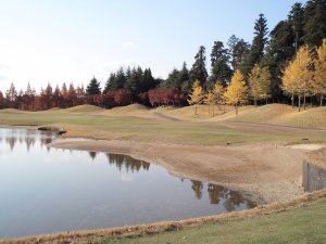 20091128